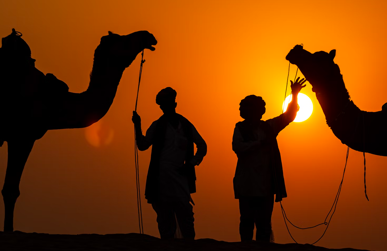 Majestic Rajasthan Tour