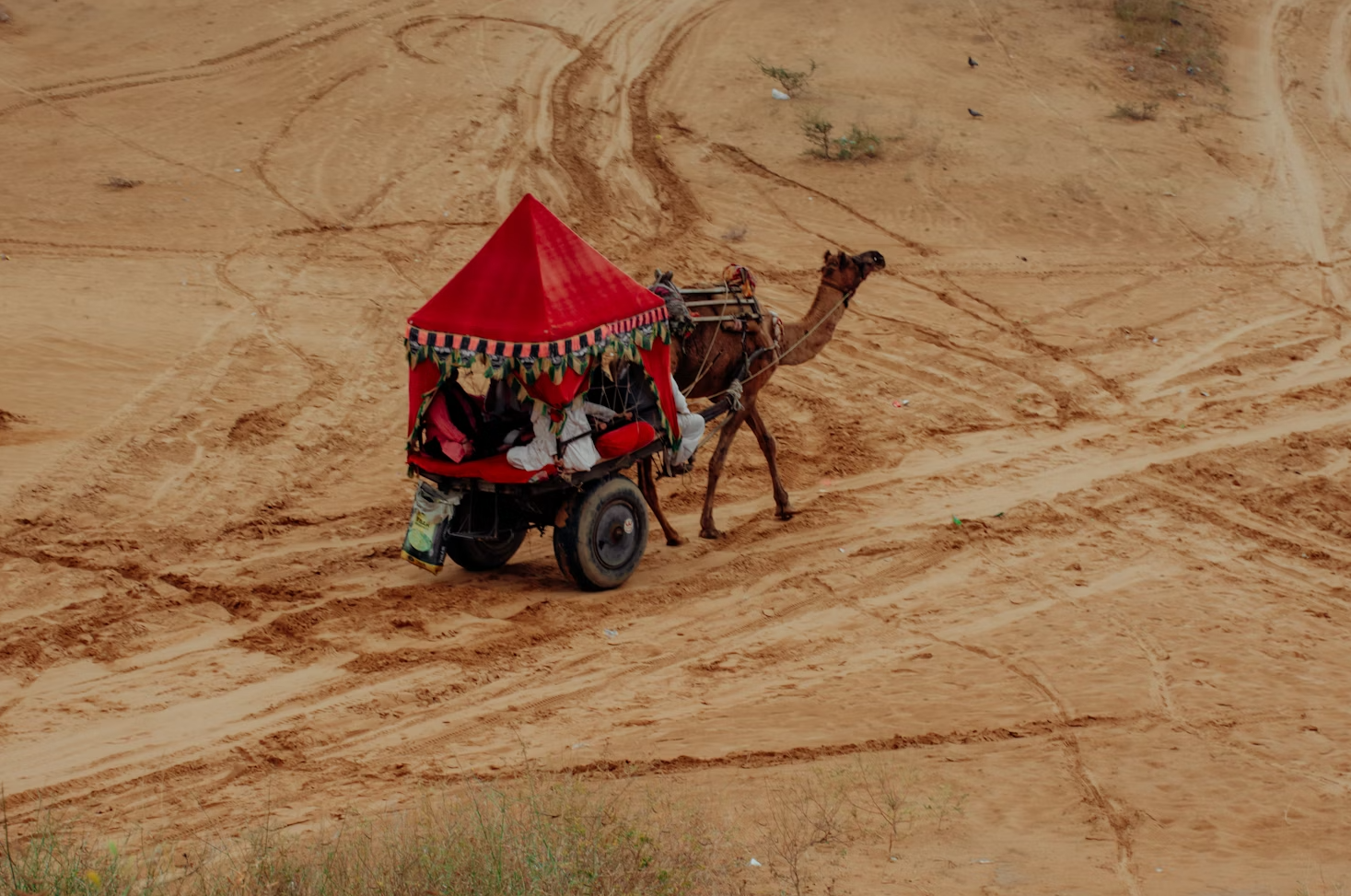 Rajasthani Desert Tour